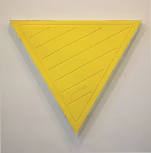 Gary Webb | Matte Module (2002)