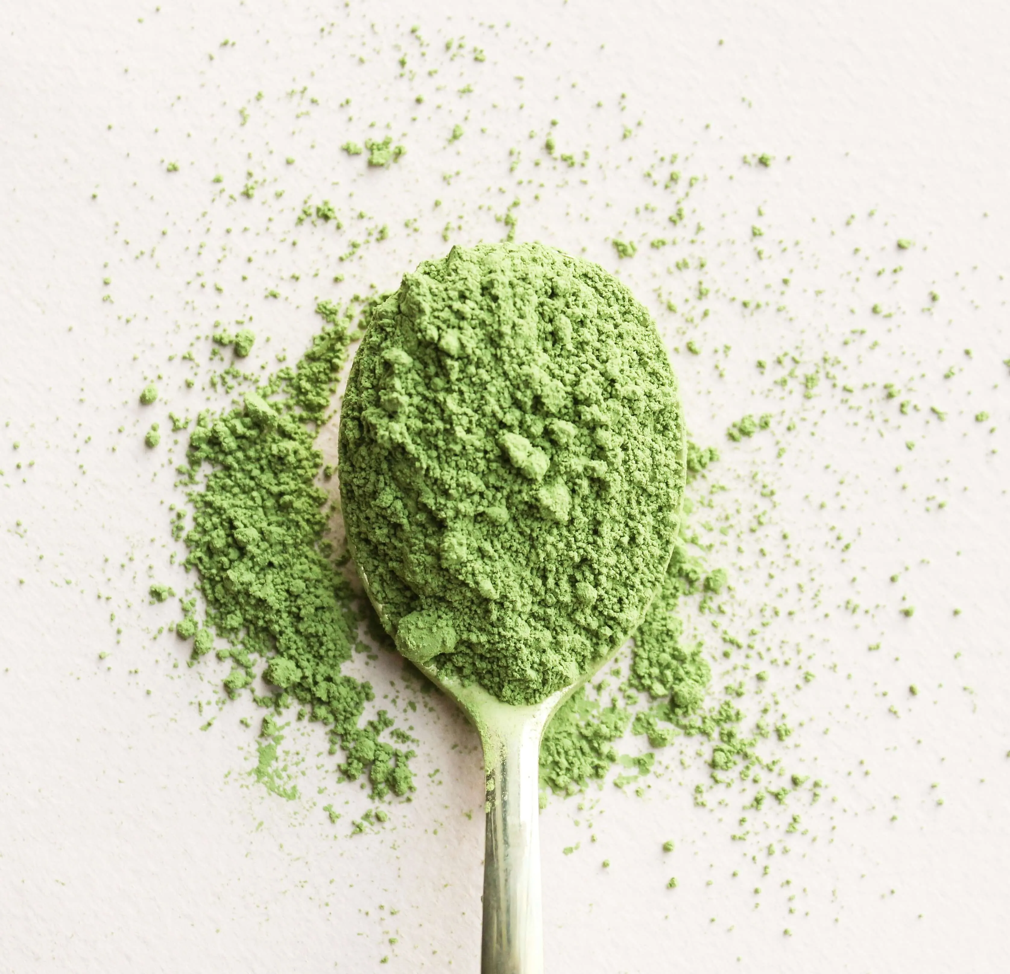 Got Matcha - Black Label Organic Ceremonial Matcha