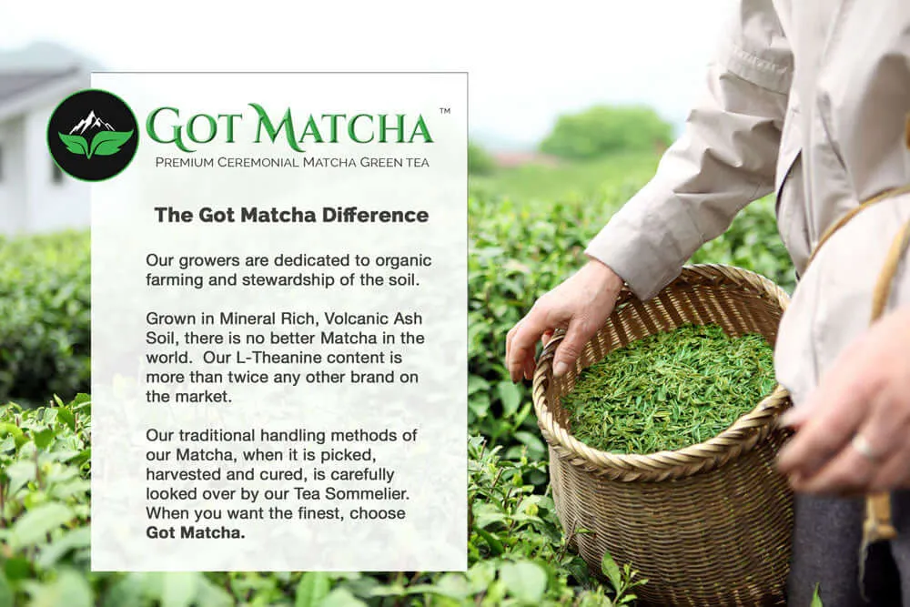 Got Matcha - Premium Organic Ceremonial Matcha Green Tea